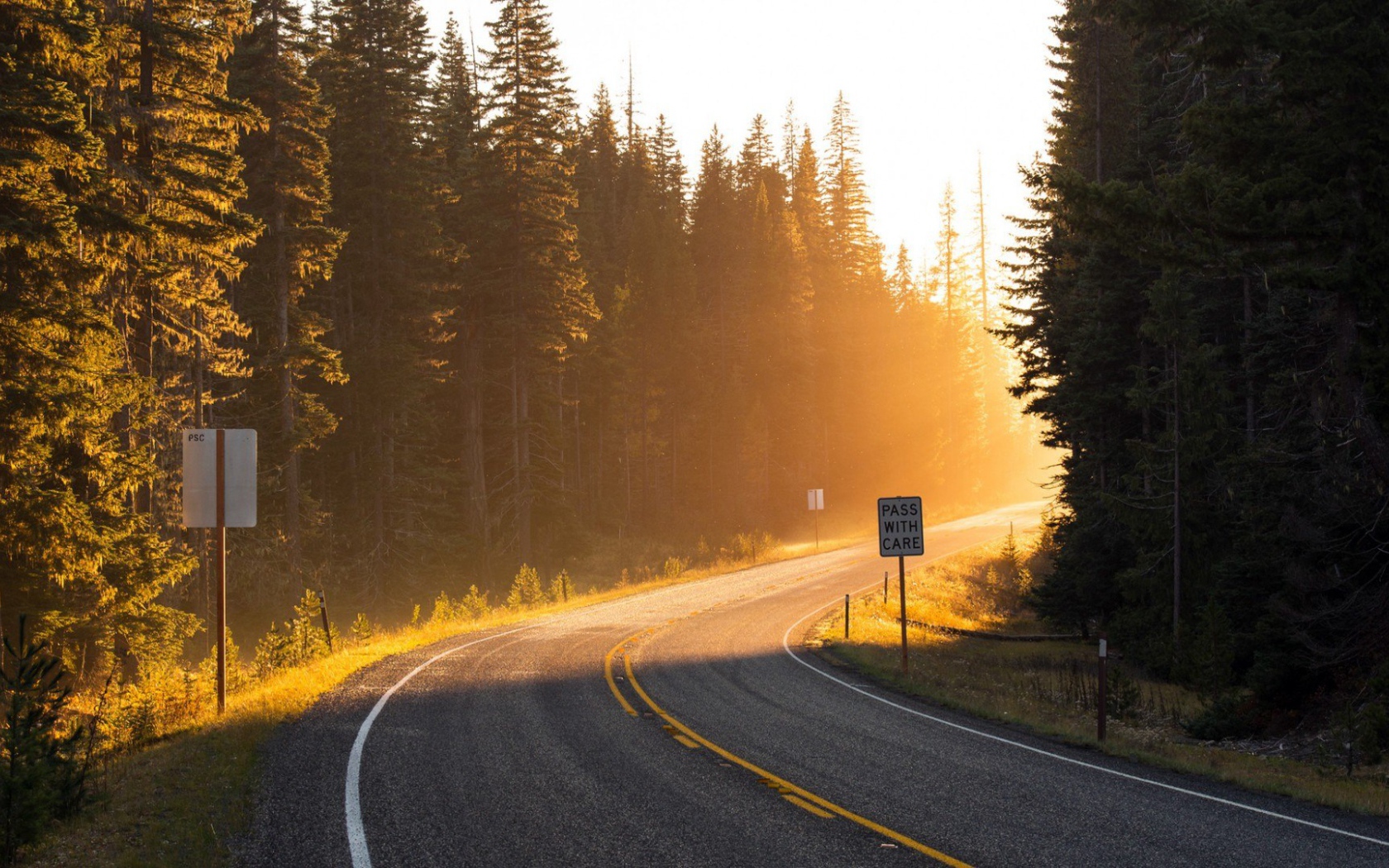 Поворот на лесной дороге