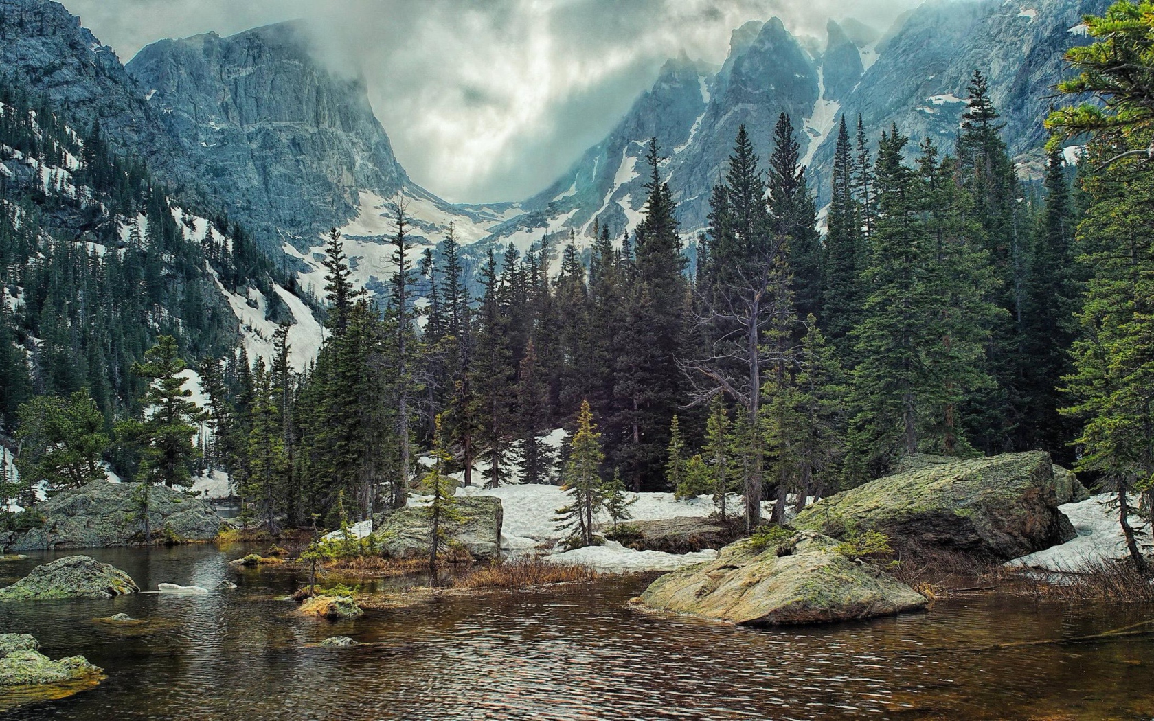Хвойные деревья у реки в горах