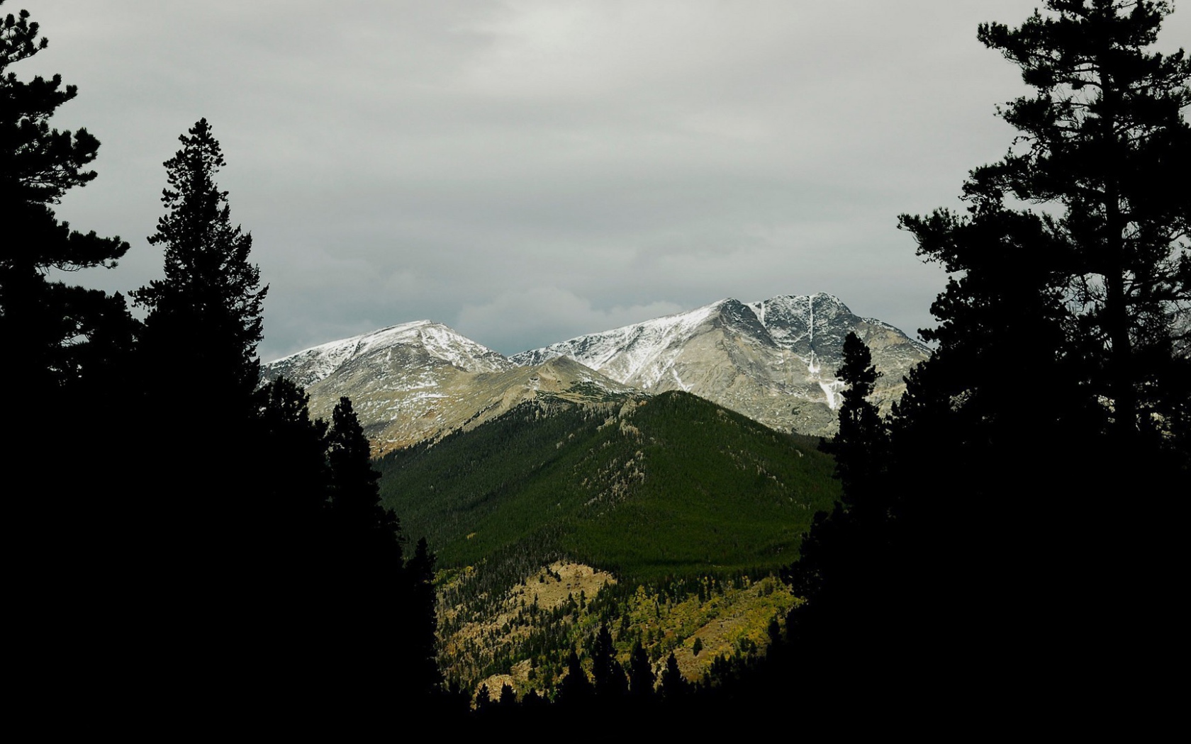Фото гор среди деревьев