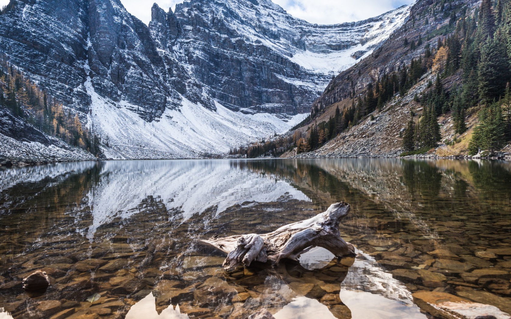 Остаток от дерева в воде горной реки