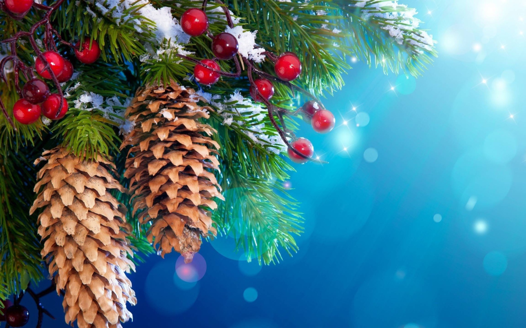 Шишки и ягоды на хвойном дереве