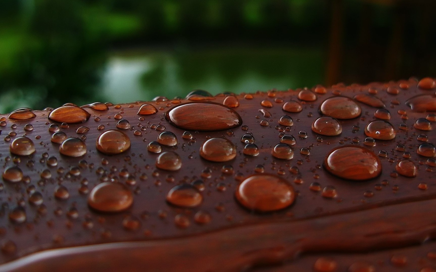 Капли влаги на коричневой поверхности