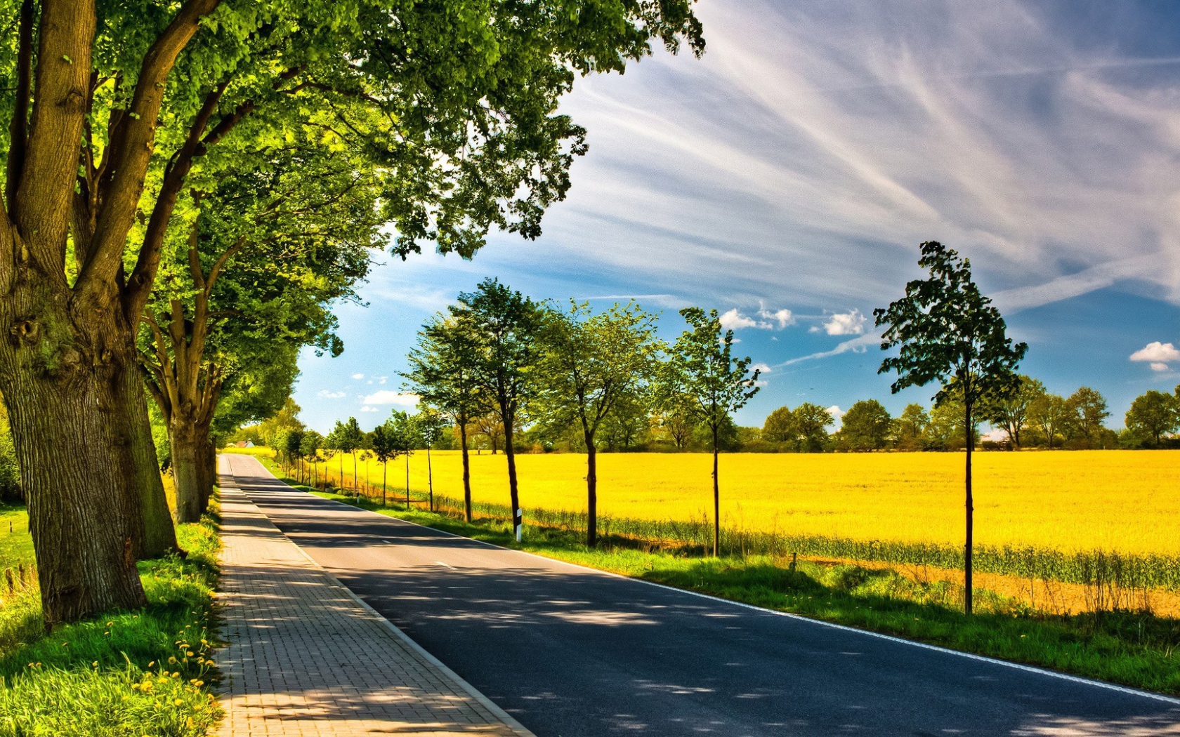 Аккуратная дорога по краю желтого поля