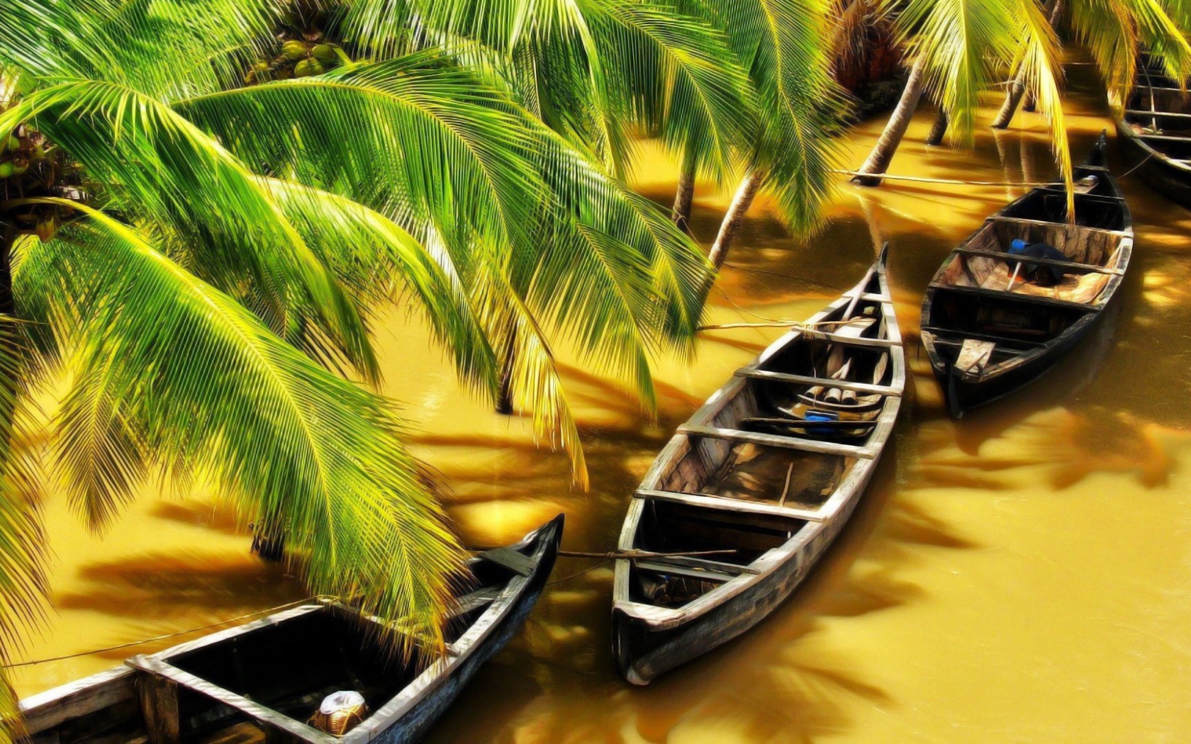 Лодки под пальмами на коричневой реке