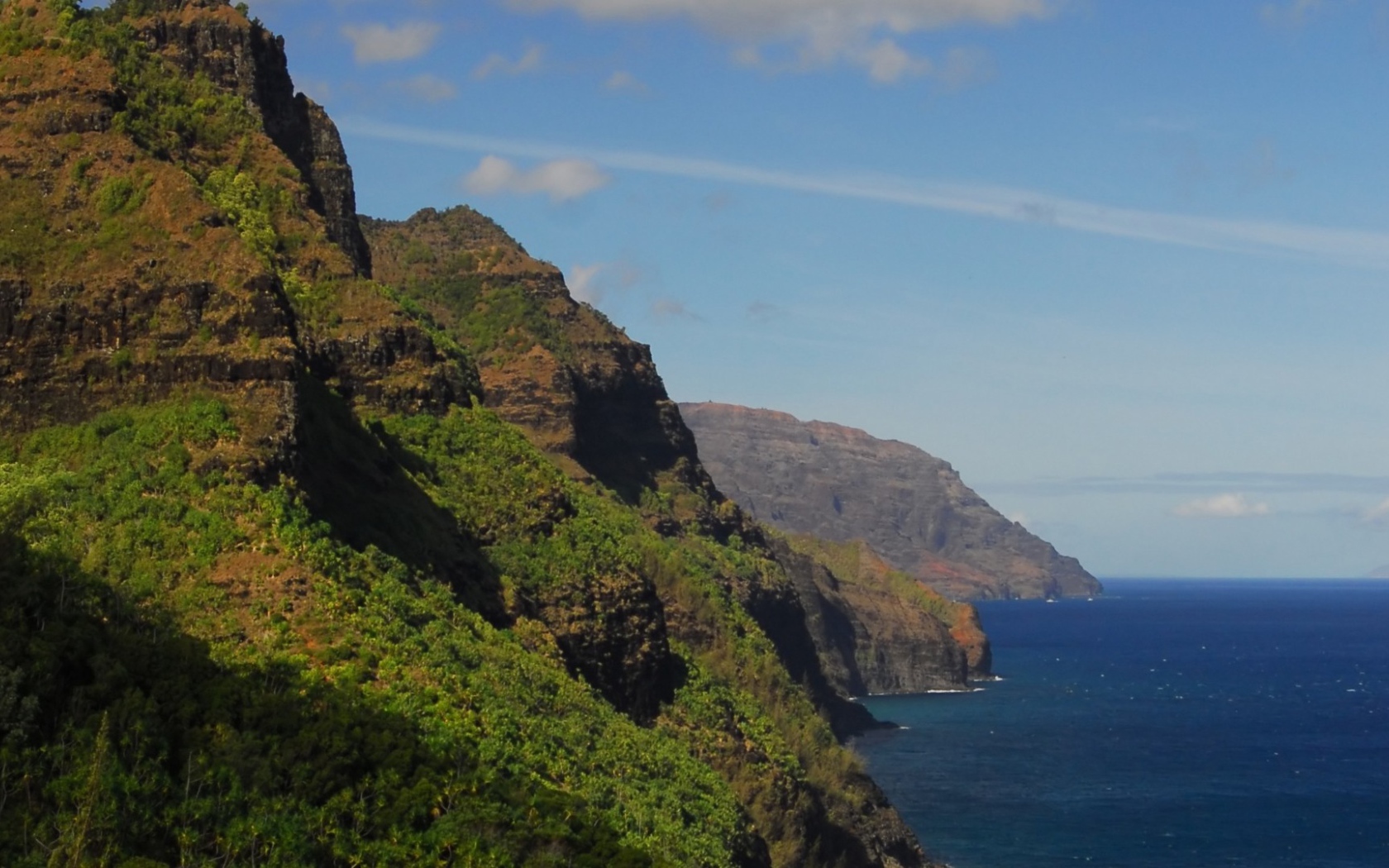 Покрытые лесом скалы над морем