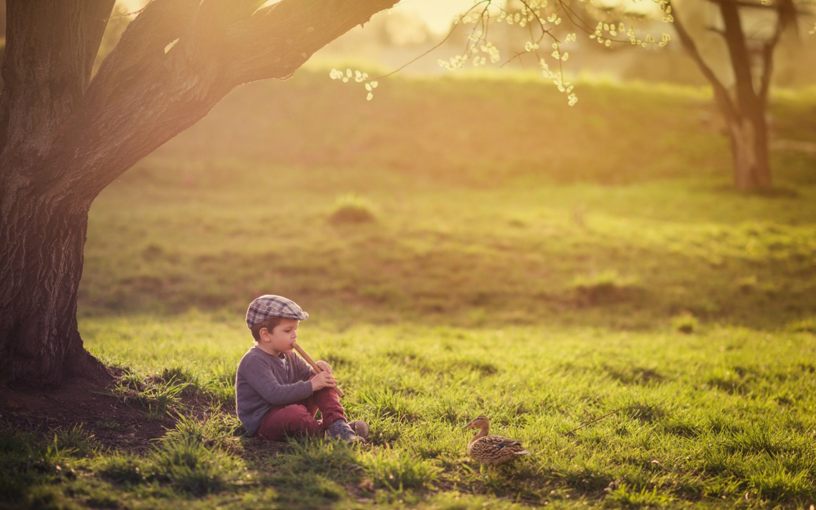Мальчик играет на флейте