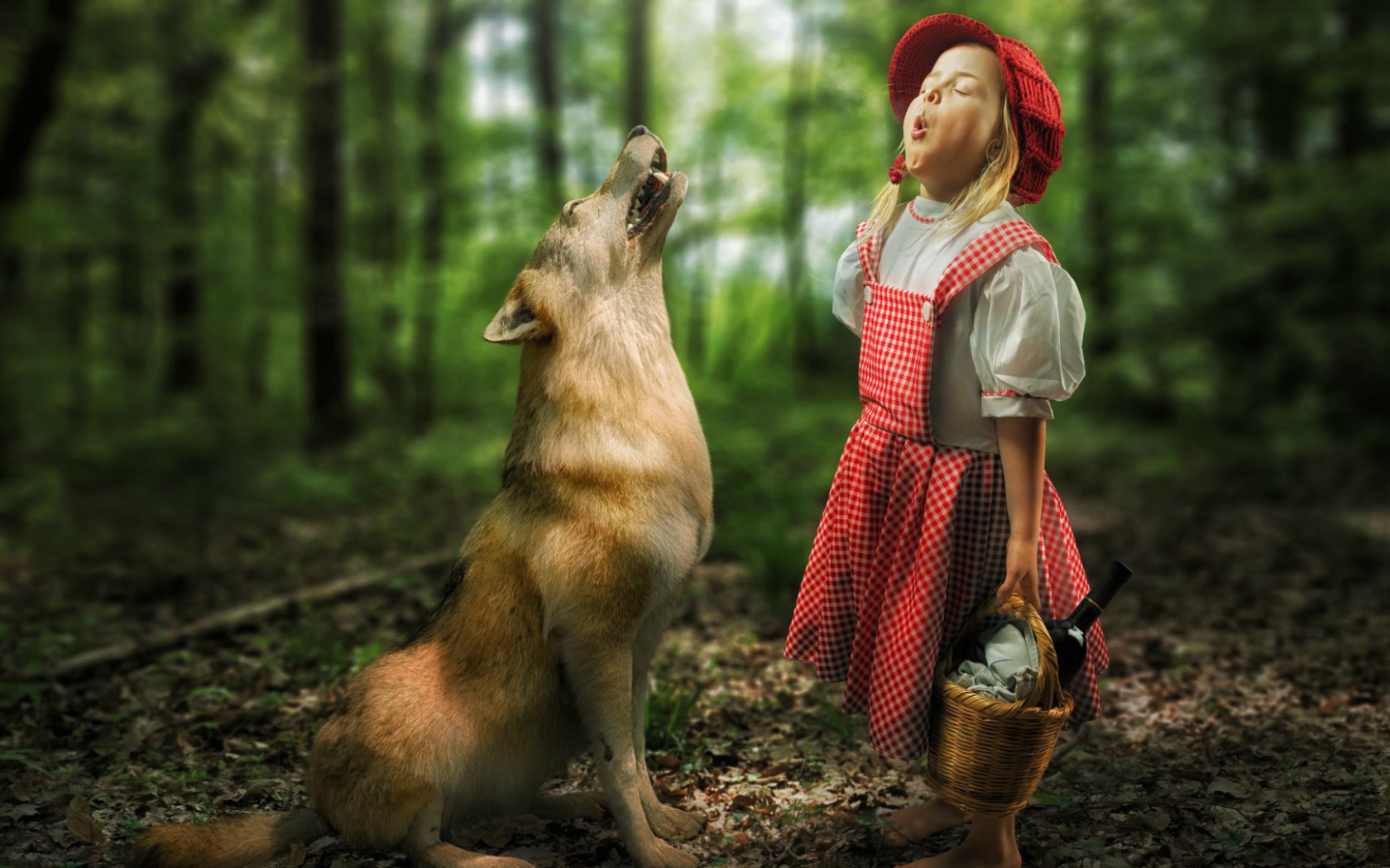 Девочка Красная шапочка и волк