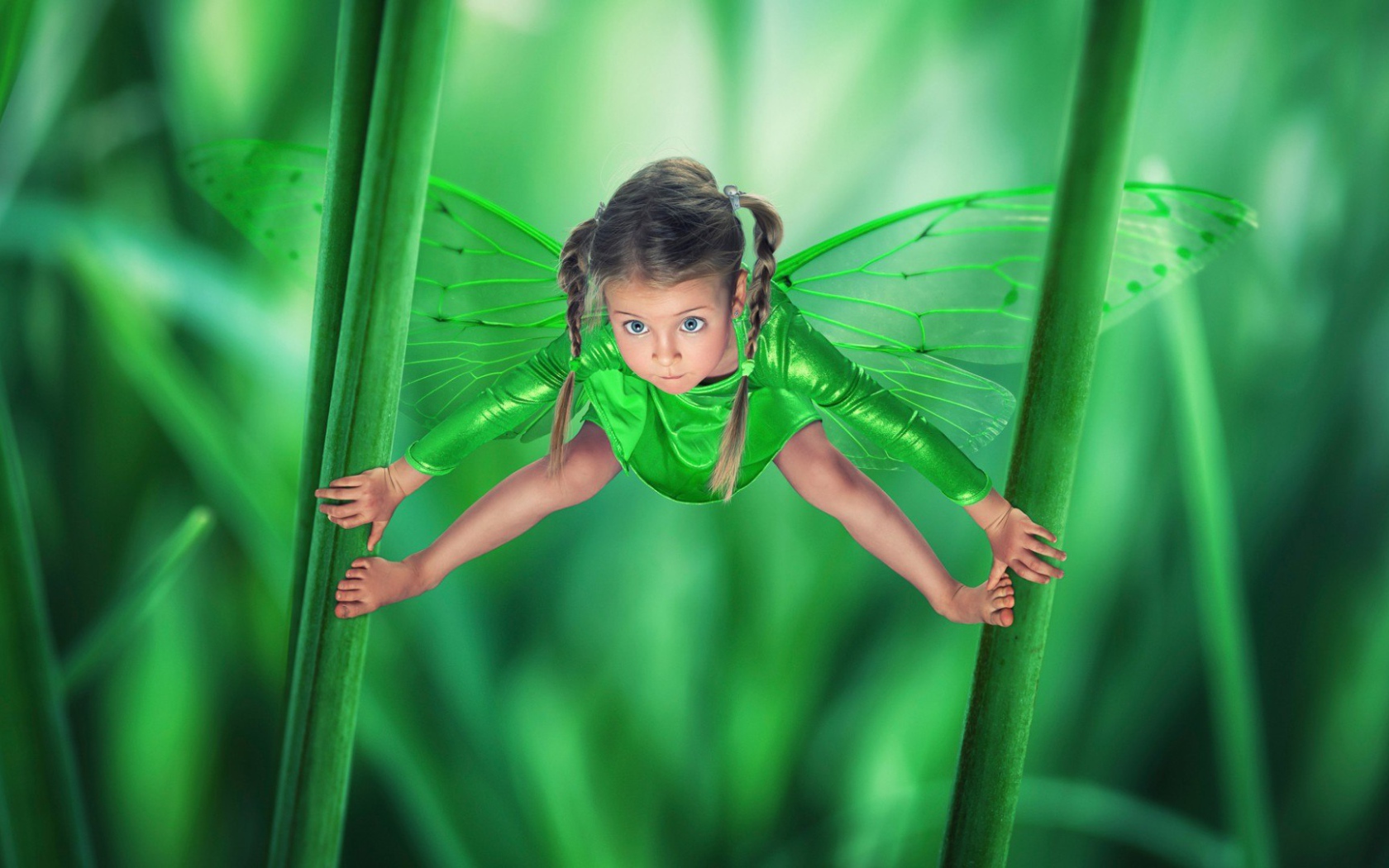 Маленькая зеленая фея