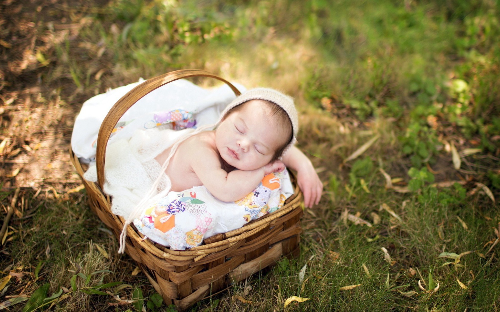 Ребенок спит в корзинке на траве