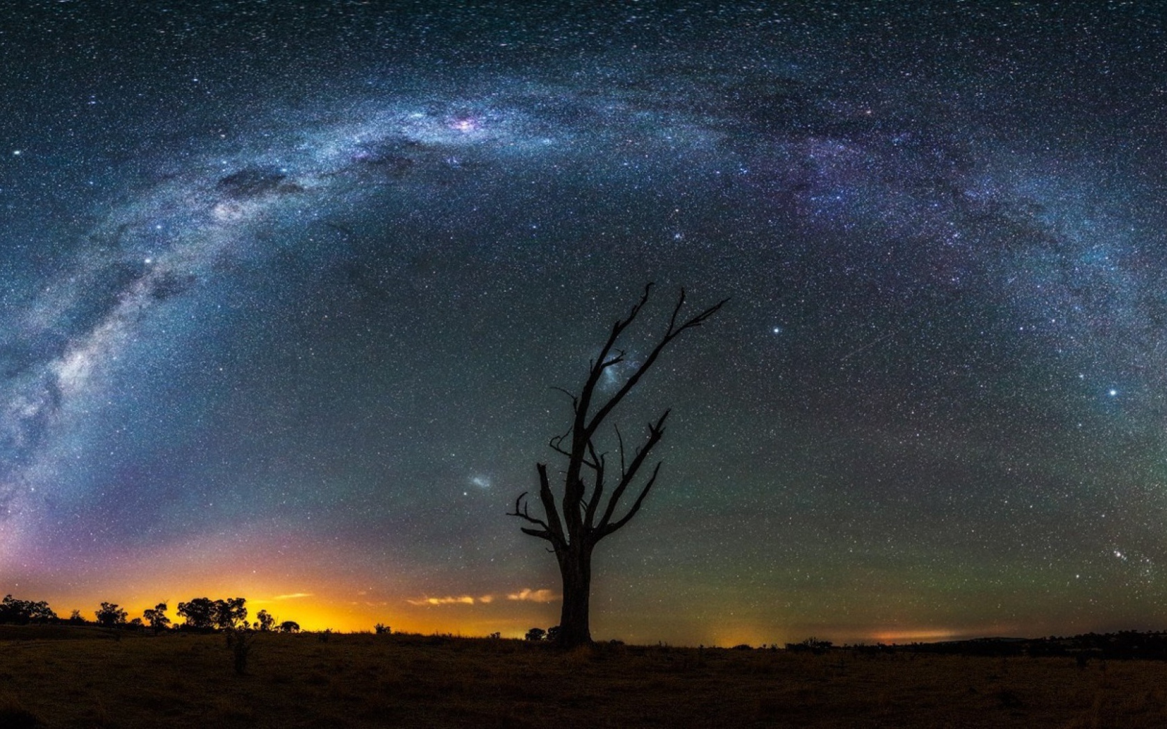 Сухое дерево на фоне Млечного пути
