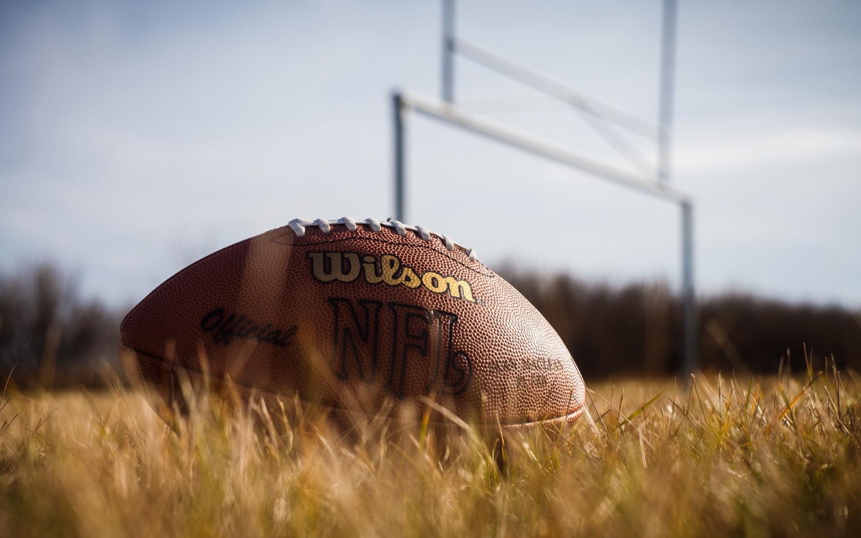 Мяч для американского футбола на поле