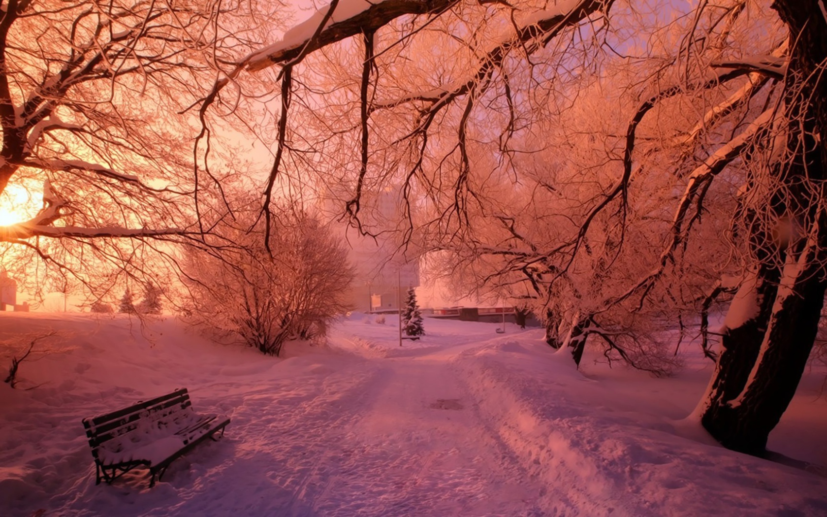 Розовый снег в зимнем парке
