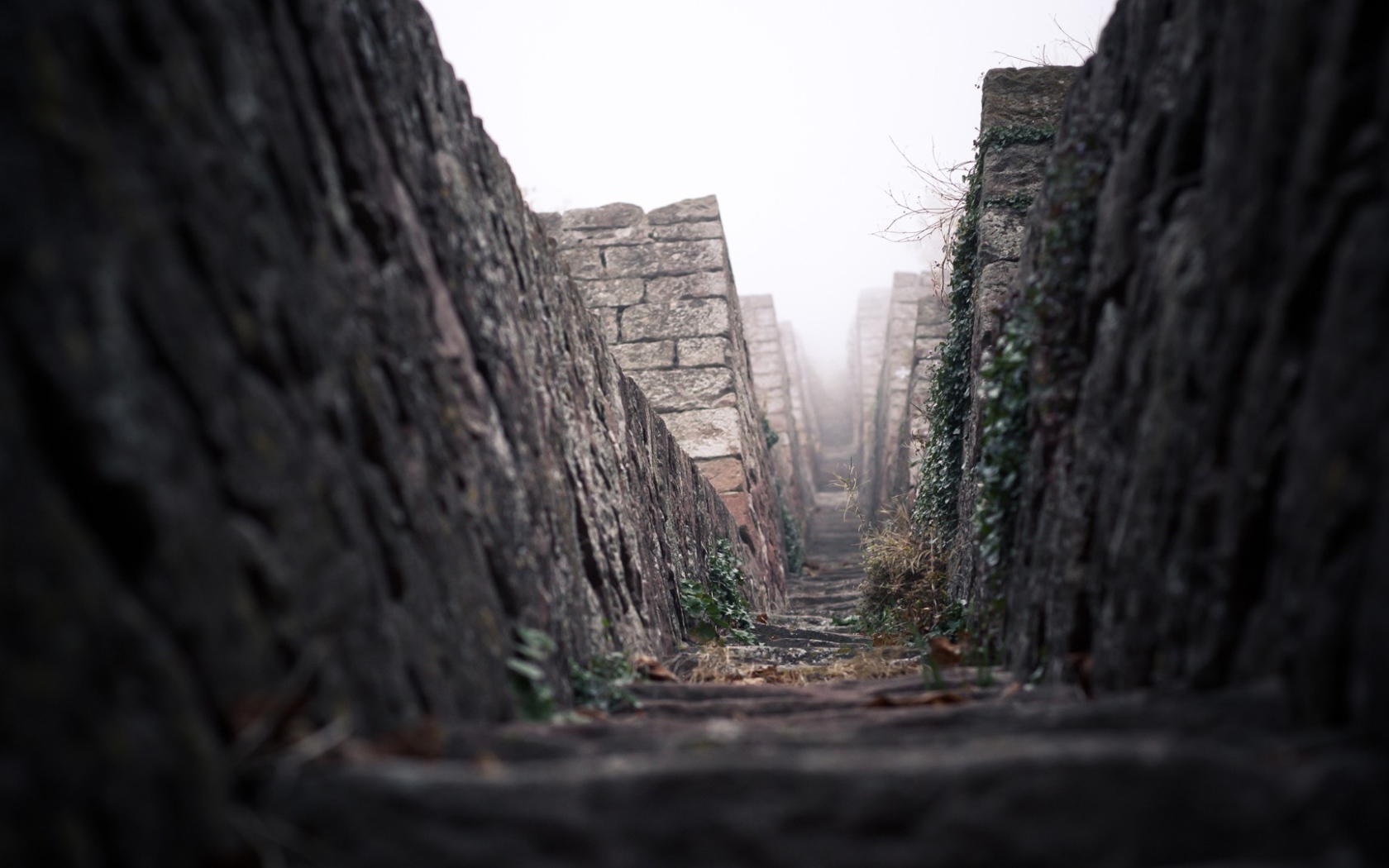 Дорога среди каменных пирамид