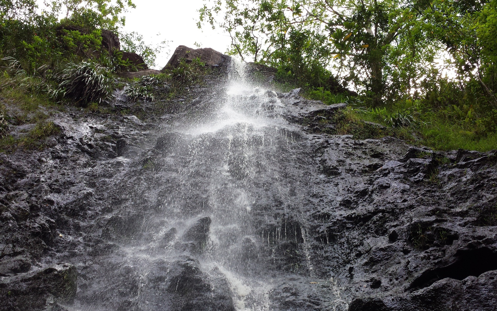 Заповедник Ka‘Au Crater на Гавайях