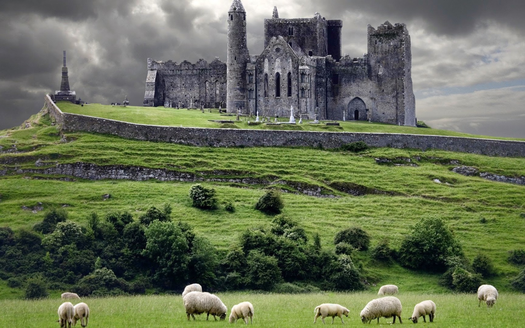 Овцы на пастбище у замка в Ирландии