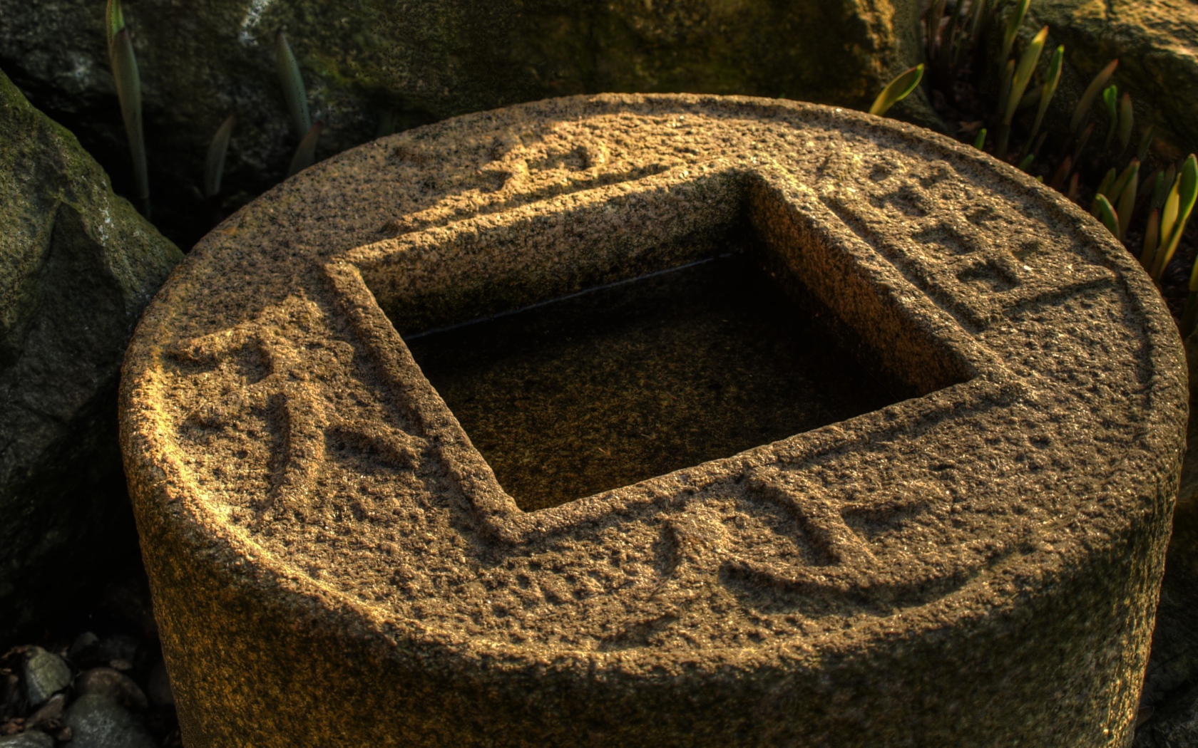 Водоем в японском саду