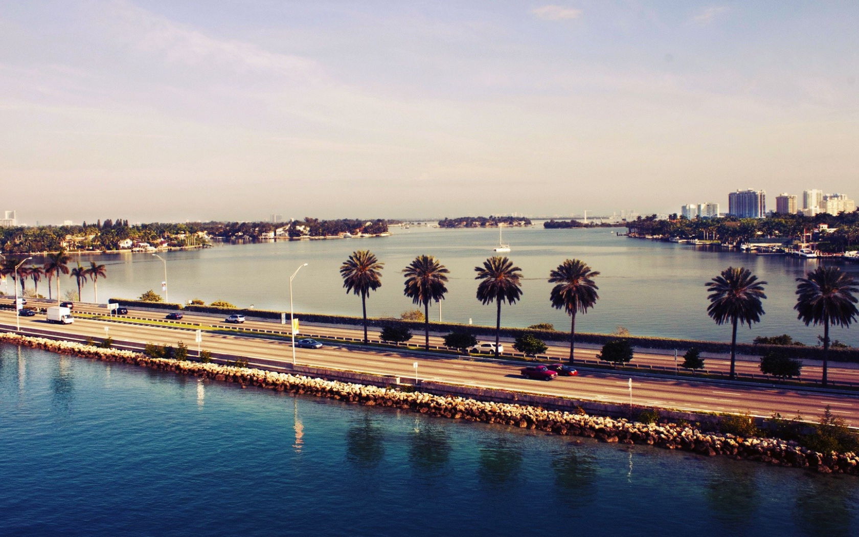 Пальмы у шоссе в Майами