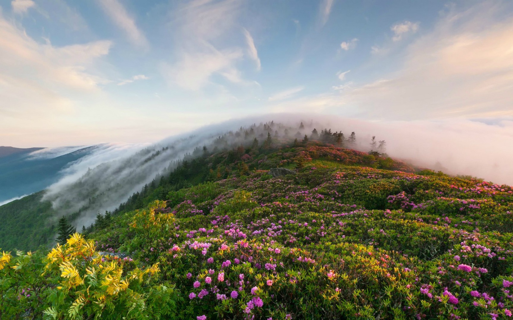 Рон Маунтин, Теннесси, США
