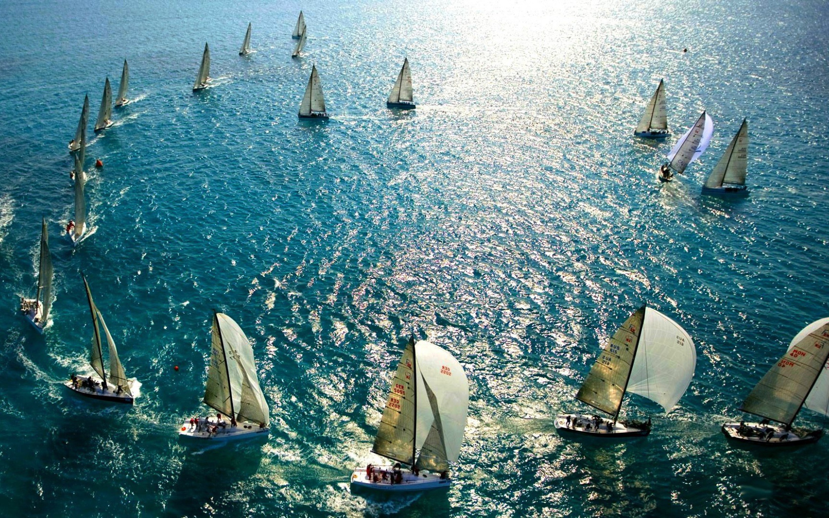 Парусные гонки во Флориде