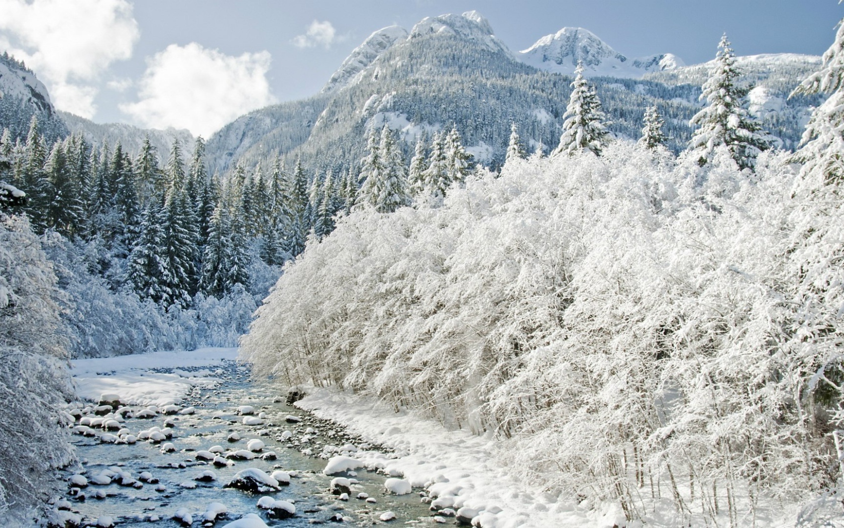 Йеллоустонский Национальный Парк , США