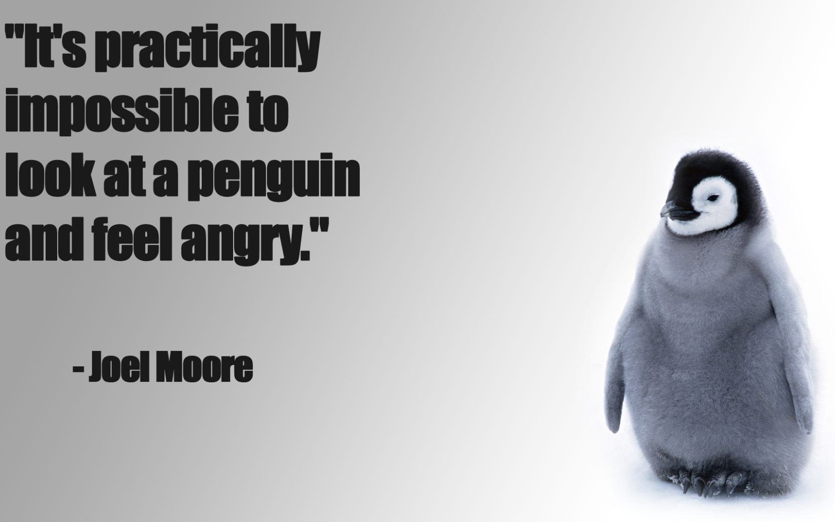You can not look at the penguins and be evil
