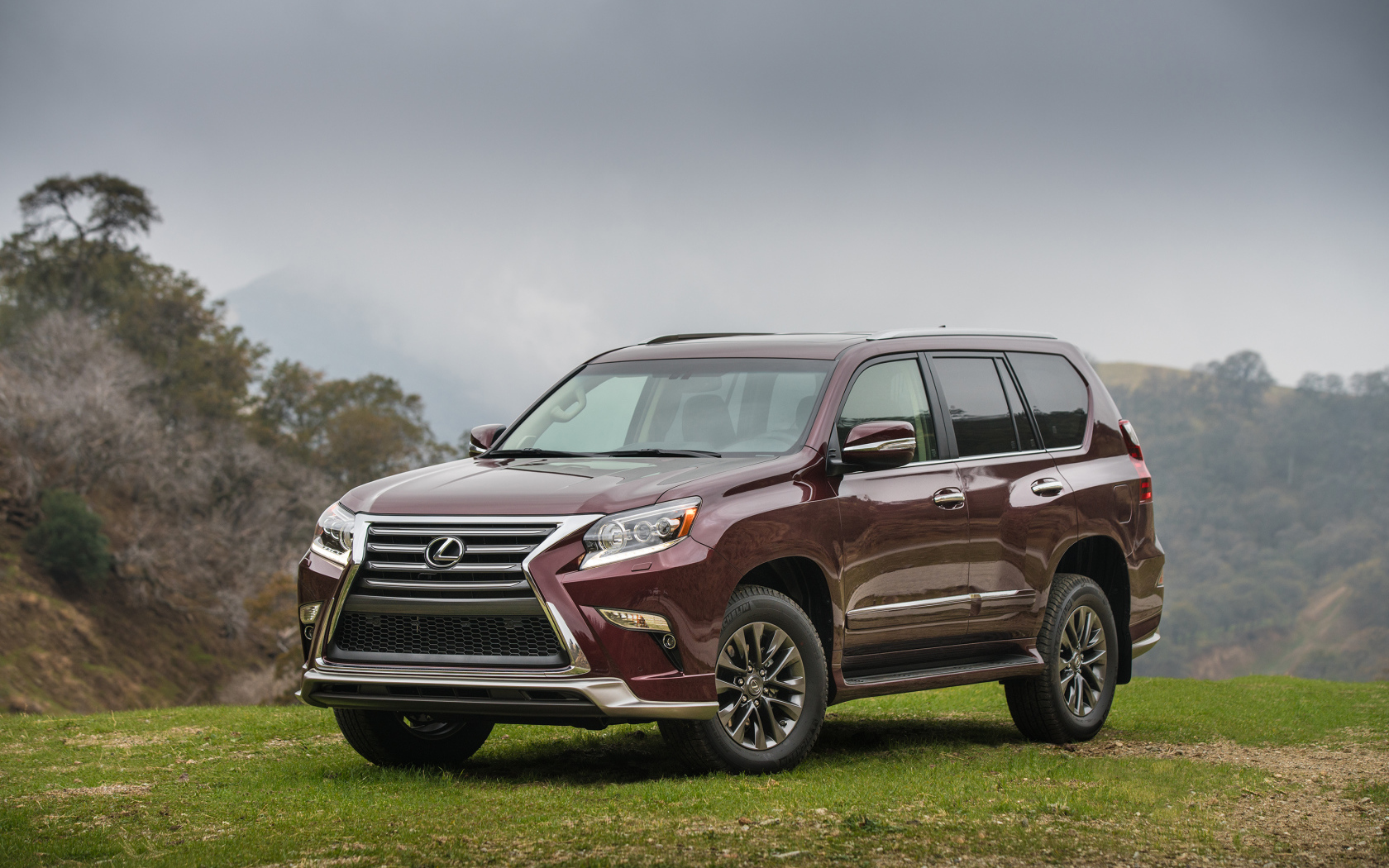 Коричневый японский автомобиль внедорожник Lexus GX 460, 2017 