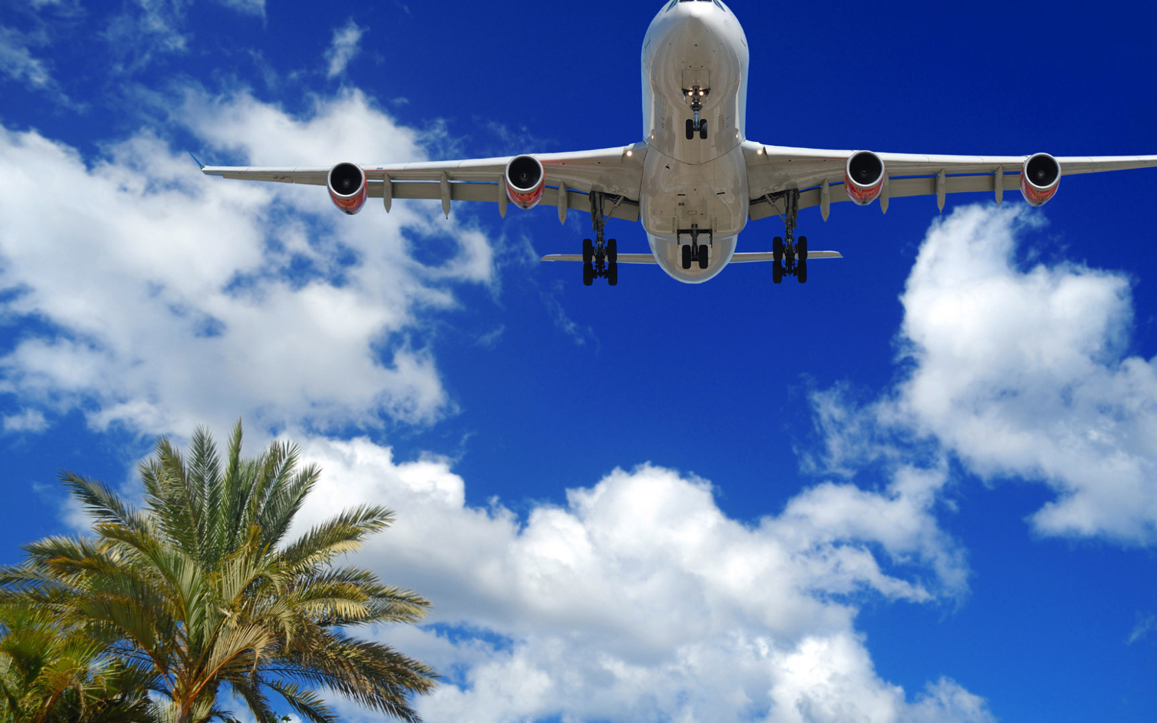 Лайнер Embraer пролетает над пальмами 