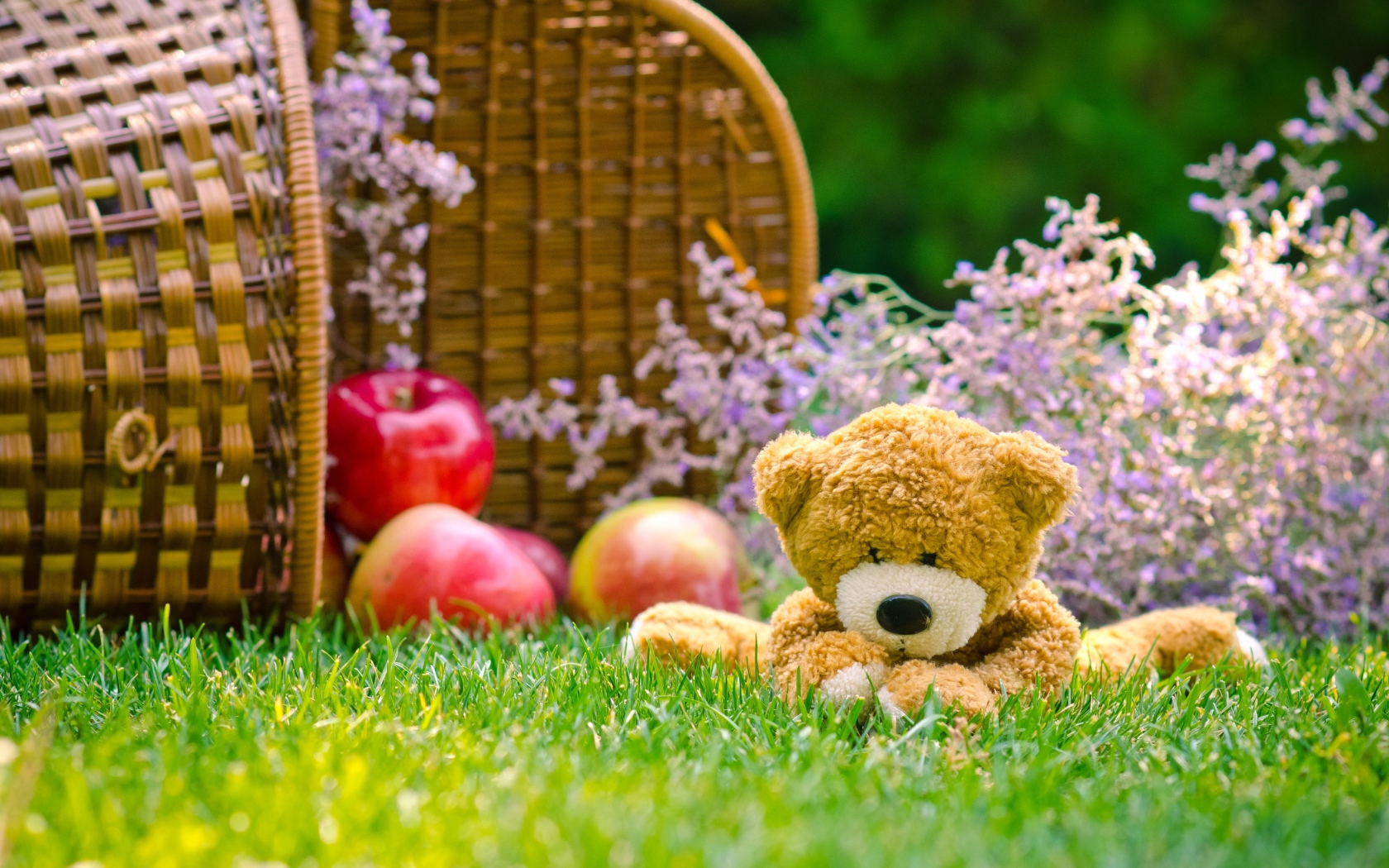 Мягкая игрушка медвежонок Тедди сидит на зеленой траве с корзиной яблок