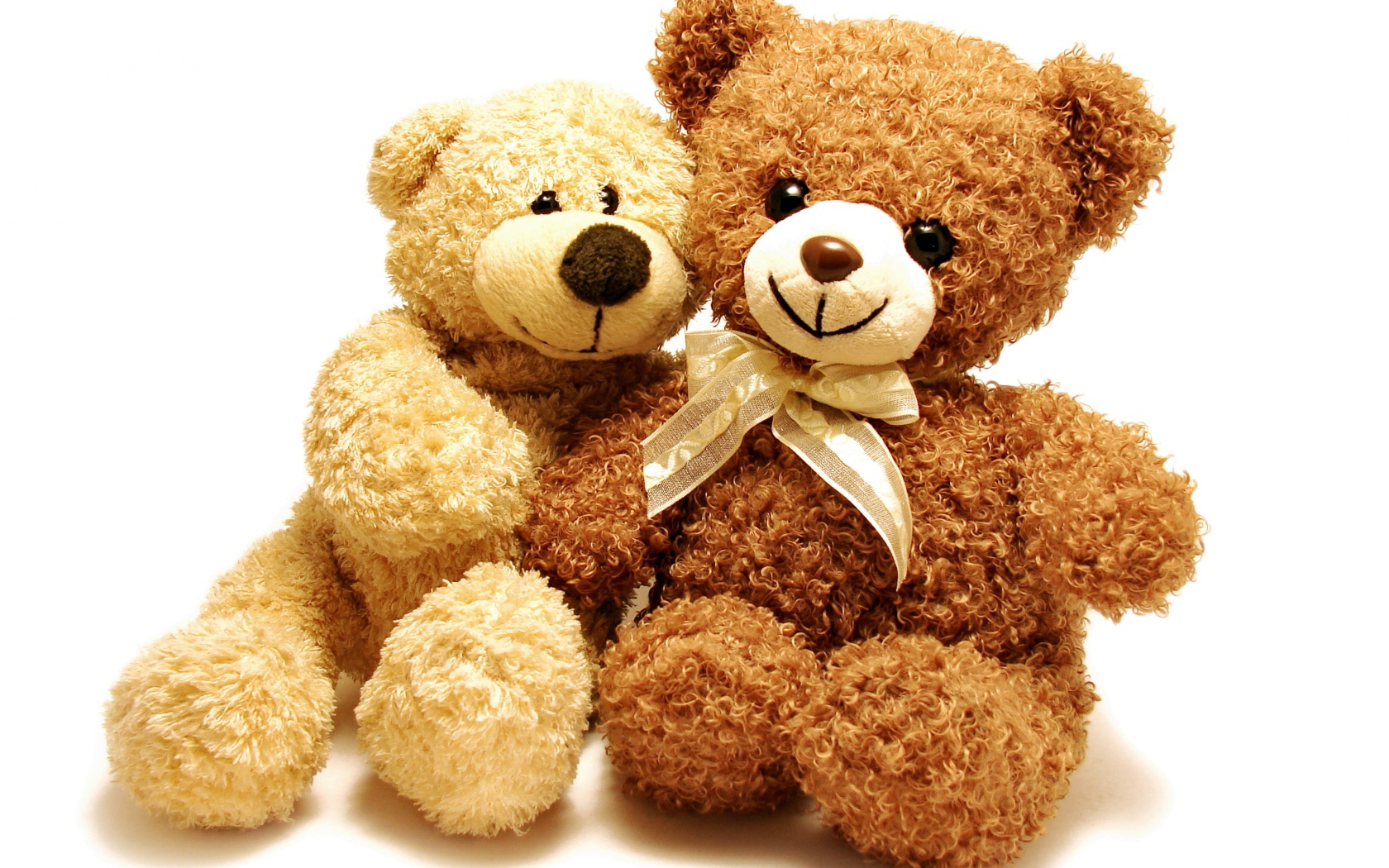 Два плюшевых медвежонка на белом фоне
