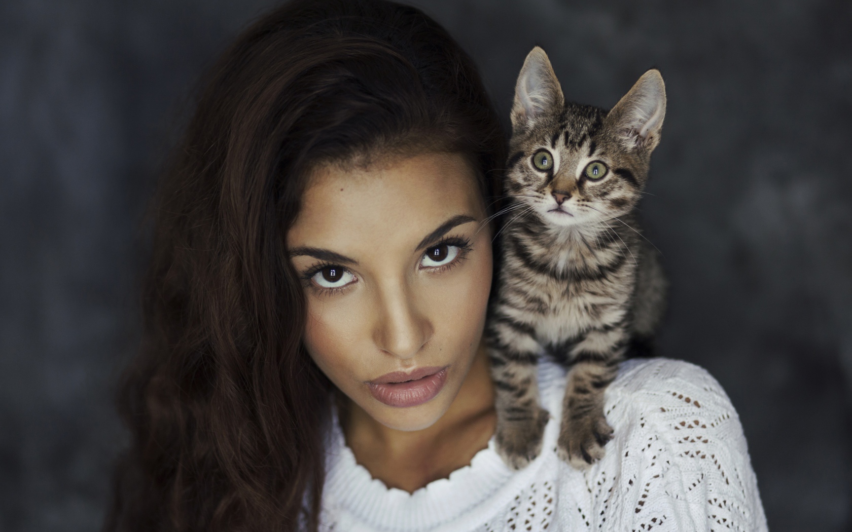 Красивая девушка с серым котенком на плече 