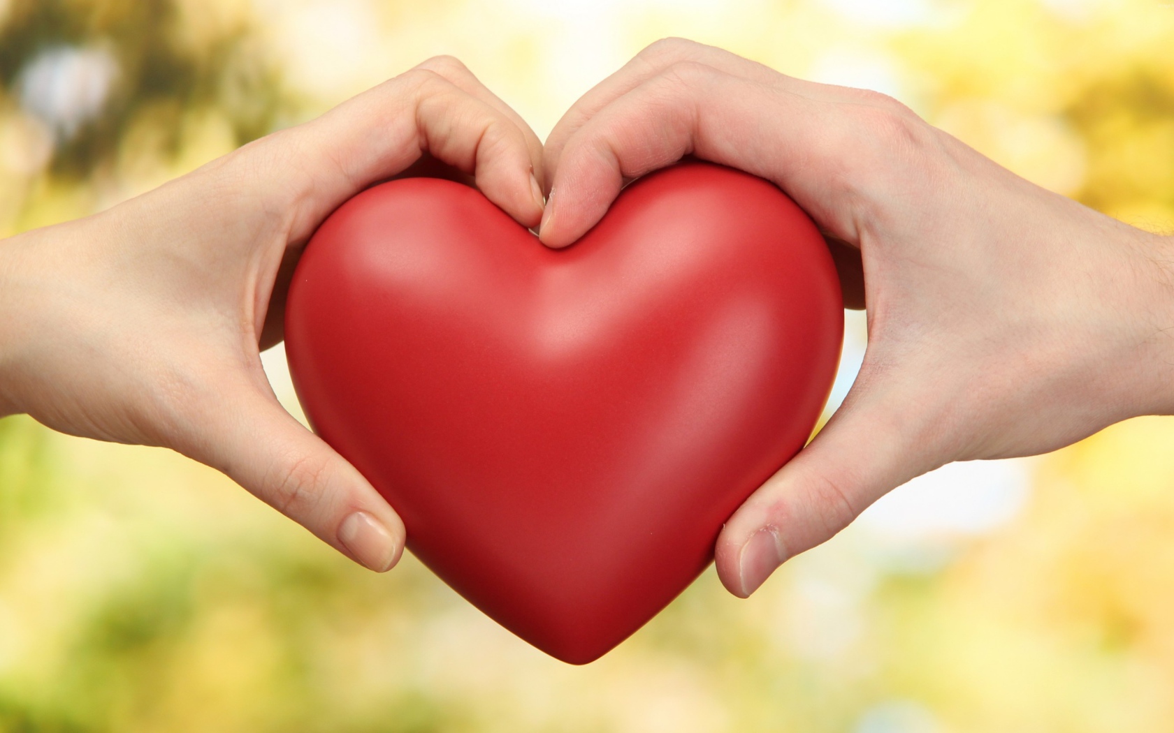 Парень и девушка  держат в руках большое красное сердце