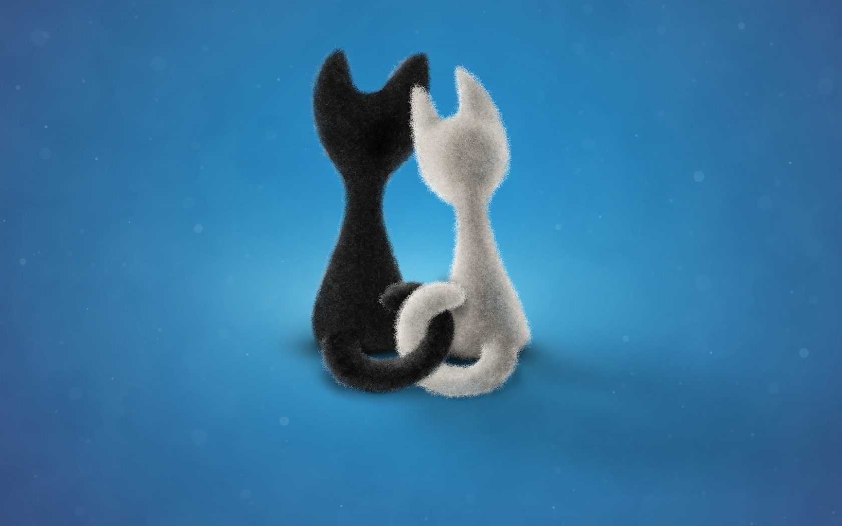 Влюбленные коты на синем фоне 