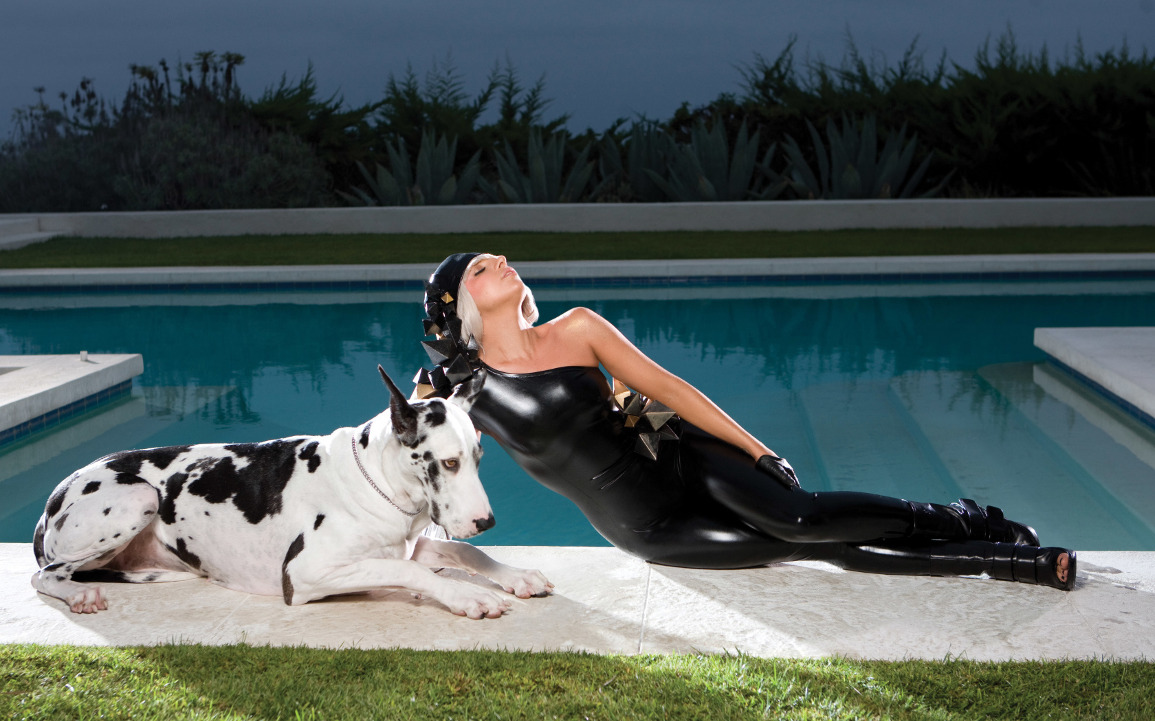 Американская певица Леди Гага с собакой у бассейна 