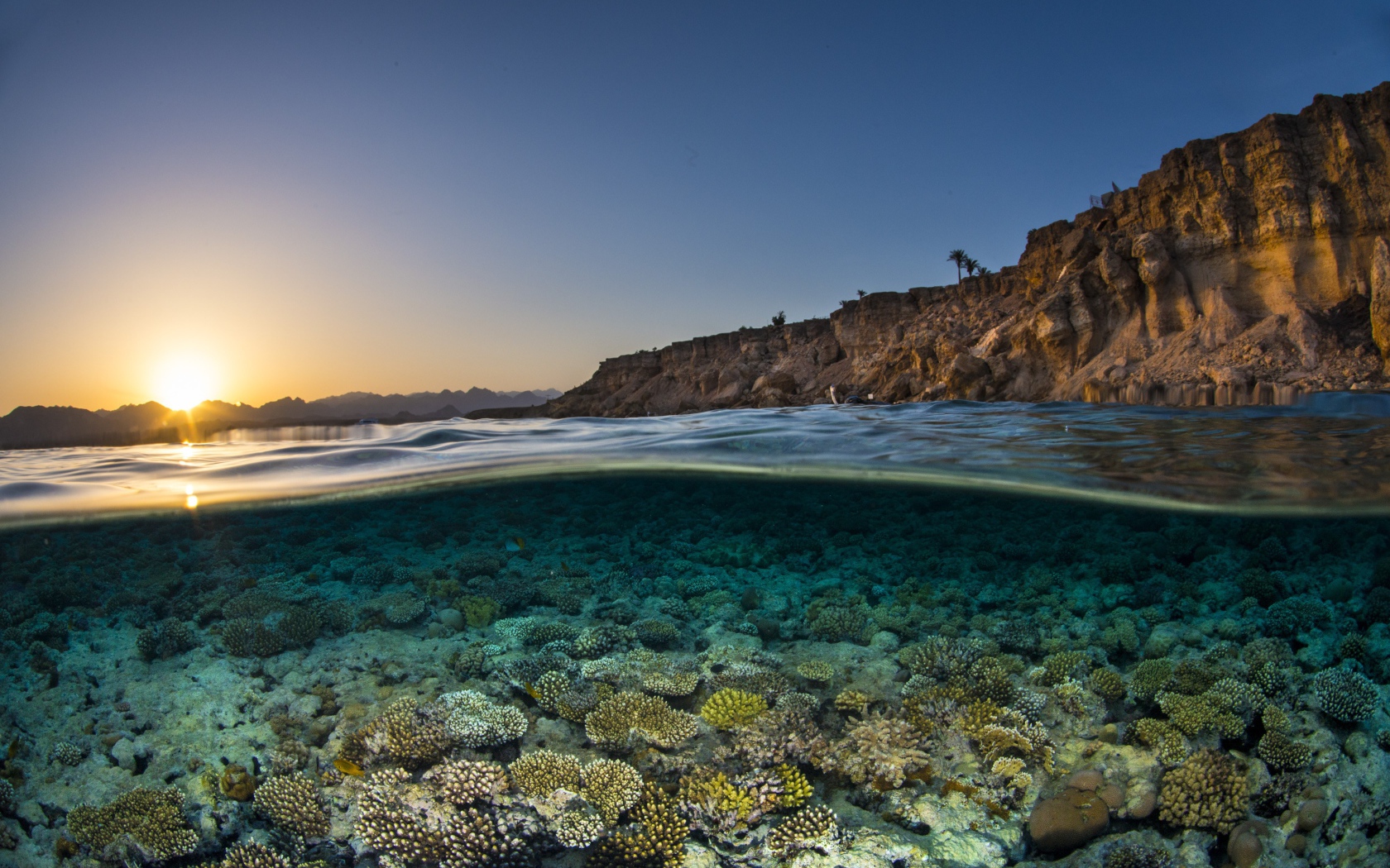 Кораллы в прозрачной морской воде в лучах солнца на рассвете
