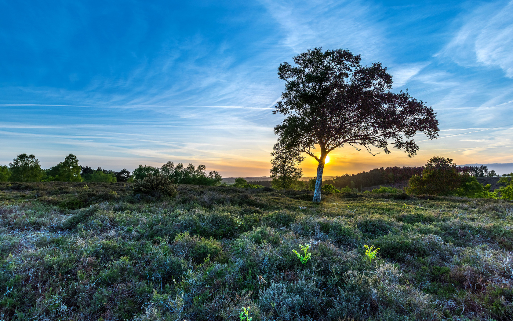 Рассвет солнца в красивом голубом небе над полем