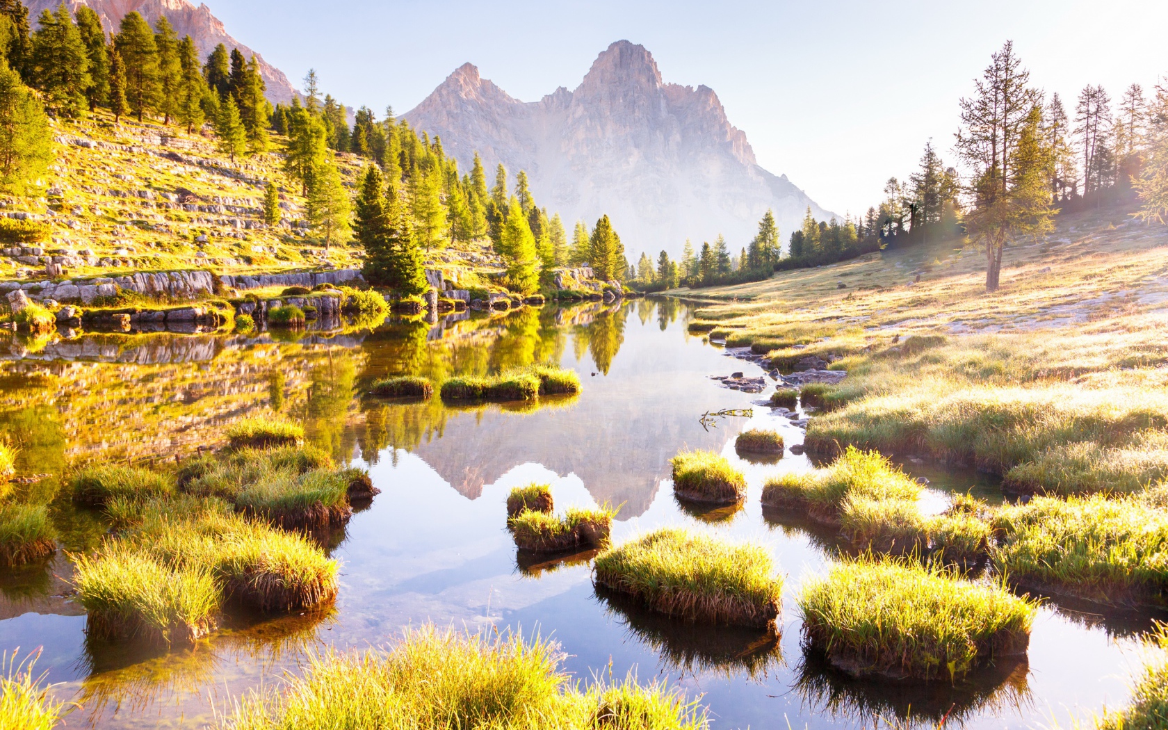 Горы трава и деревья отражаются в лесном озере