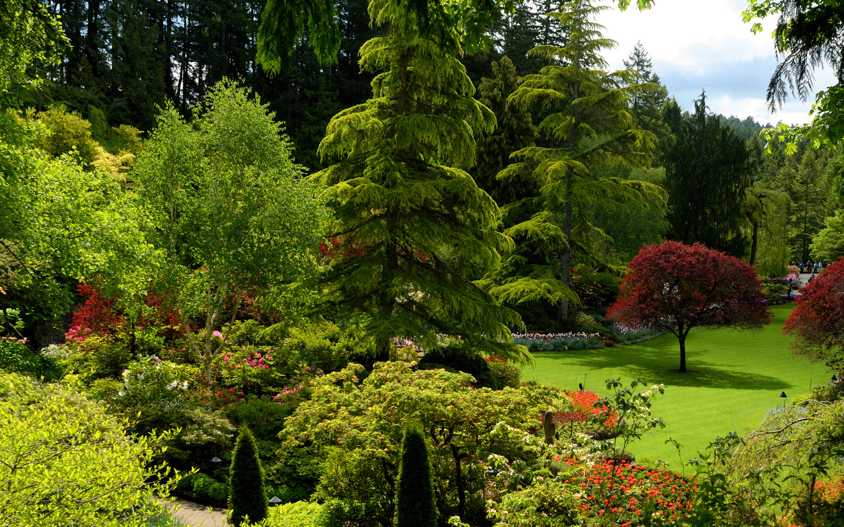 Живописный зеленый парк Канады