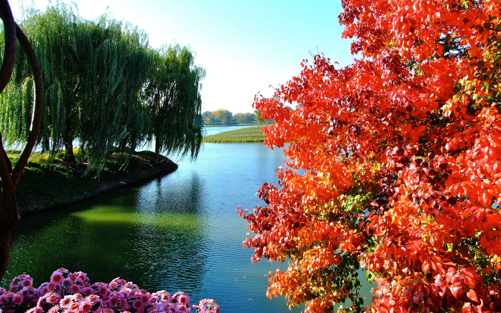 Деревья и цветы у озера в парке 