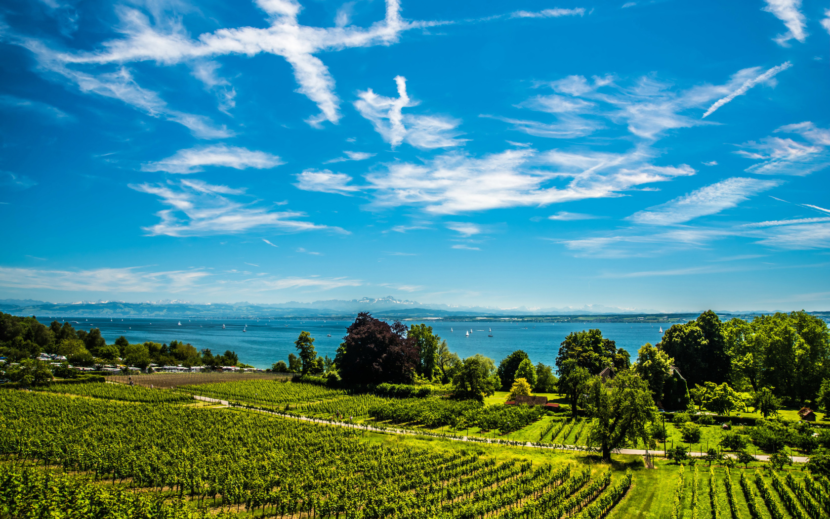 Красивые белые облака в небе над полем и озером