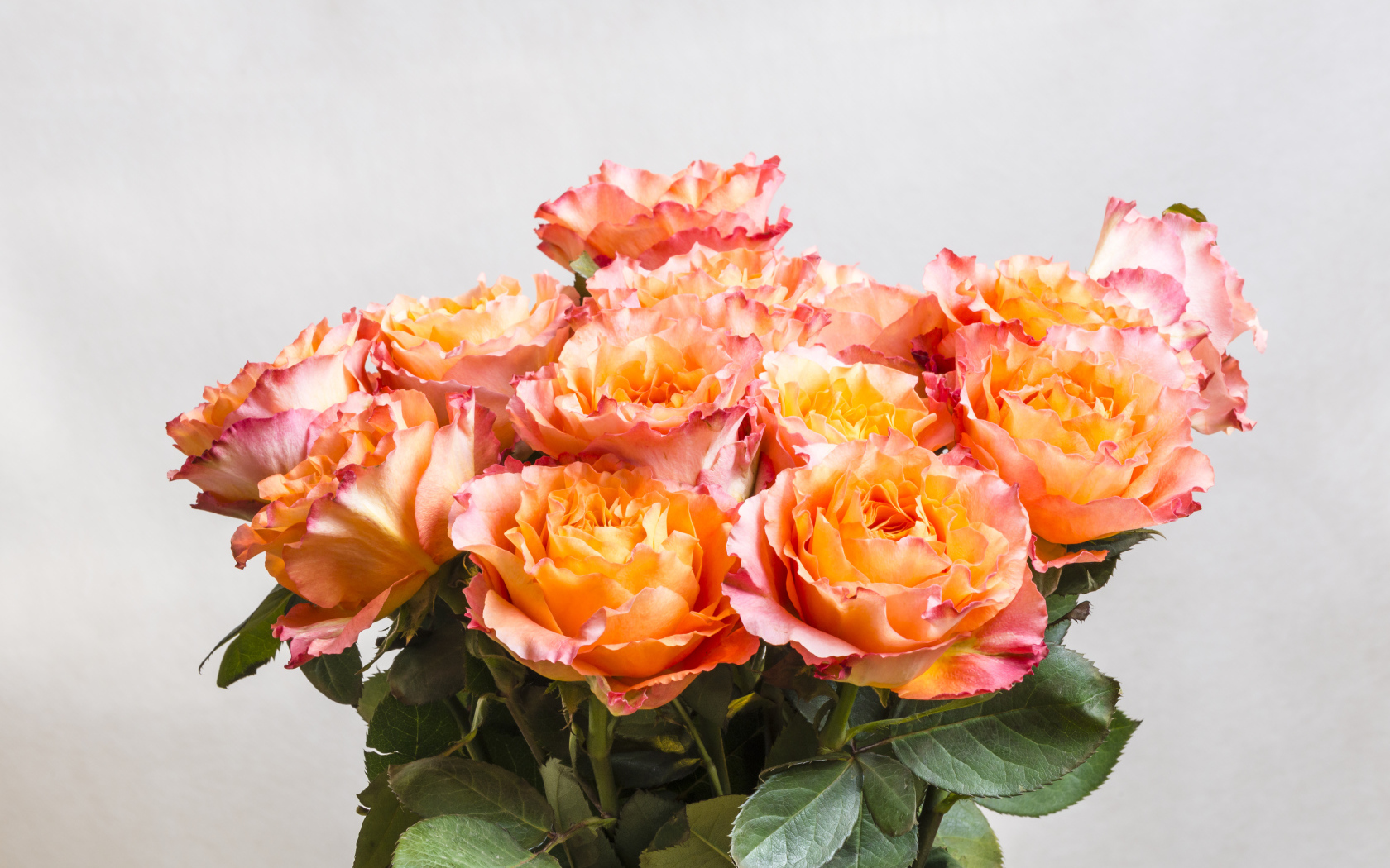 Красивый букет оранжевых роз на сером фоне