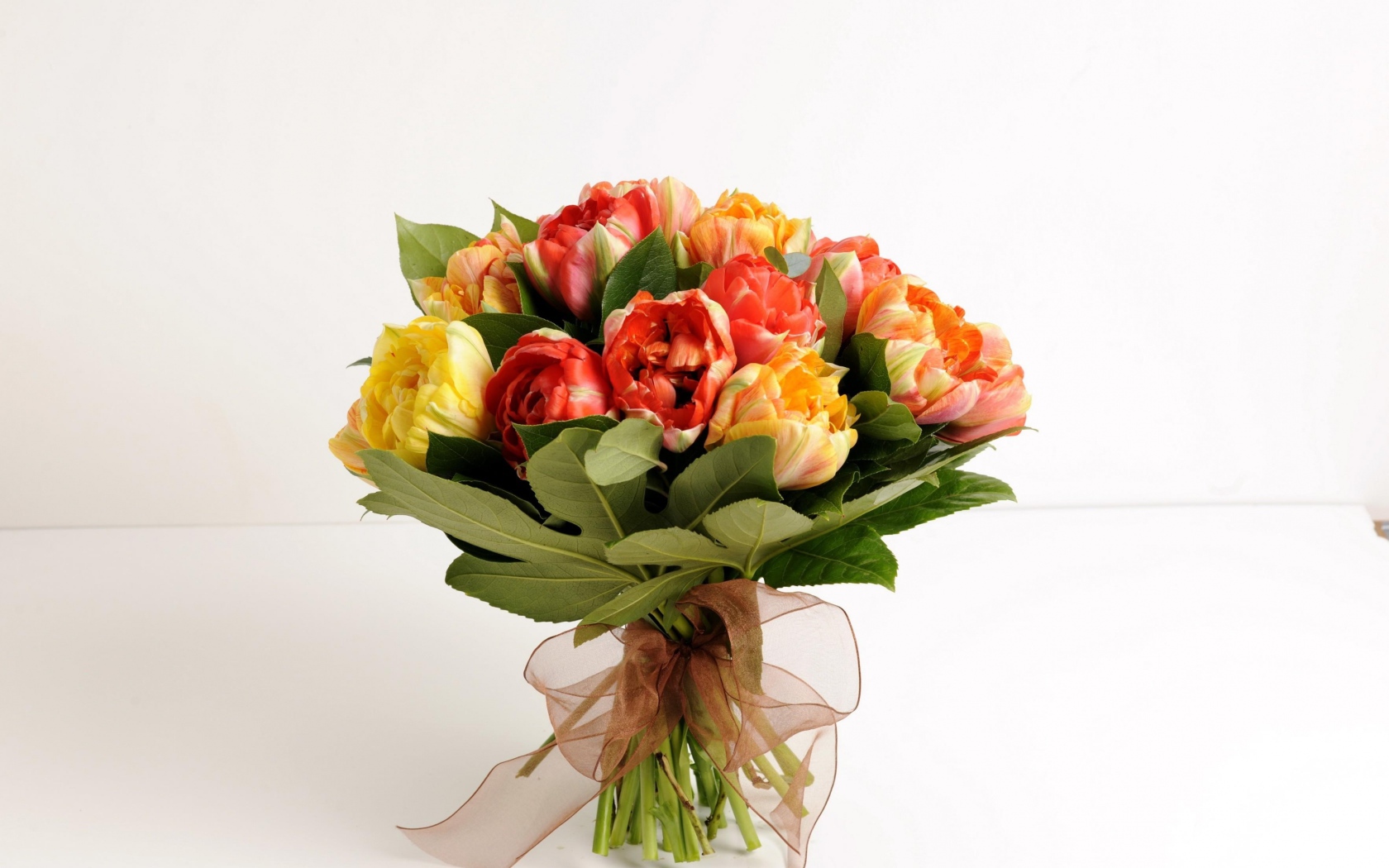 Красивый букет тюльпанов на белом фоне