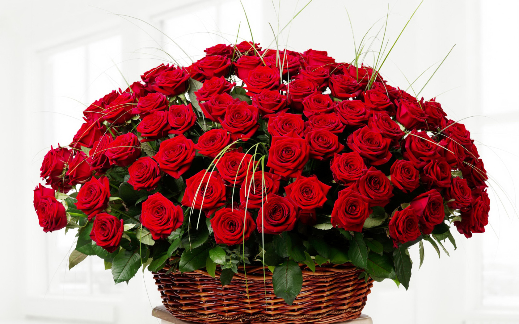 Большой букет красивых красных роз в корзине на белом фоне 