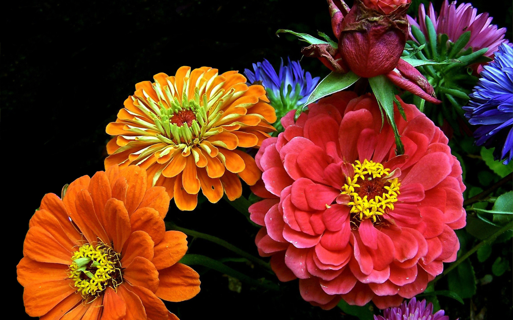 Букет ярких летних цветов 