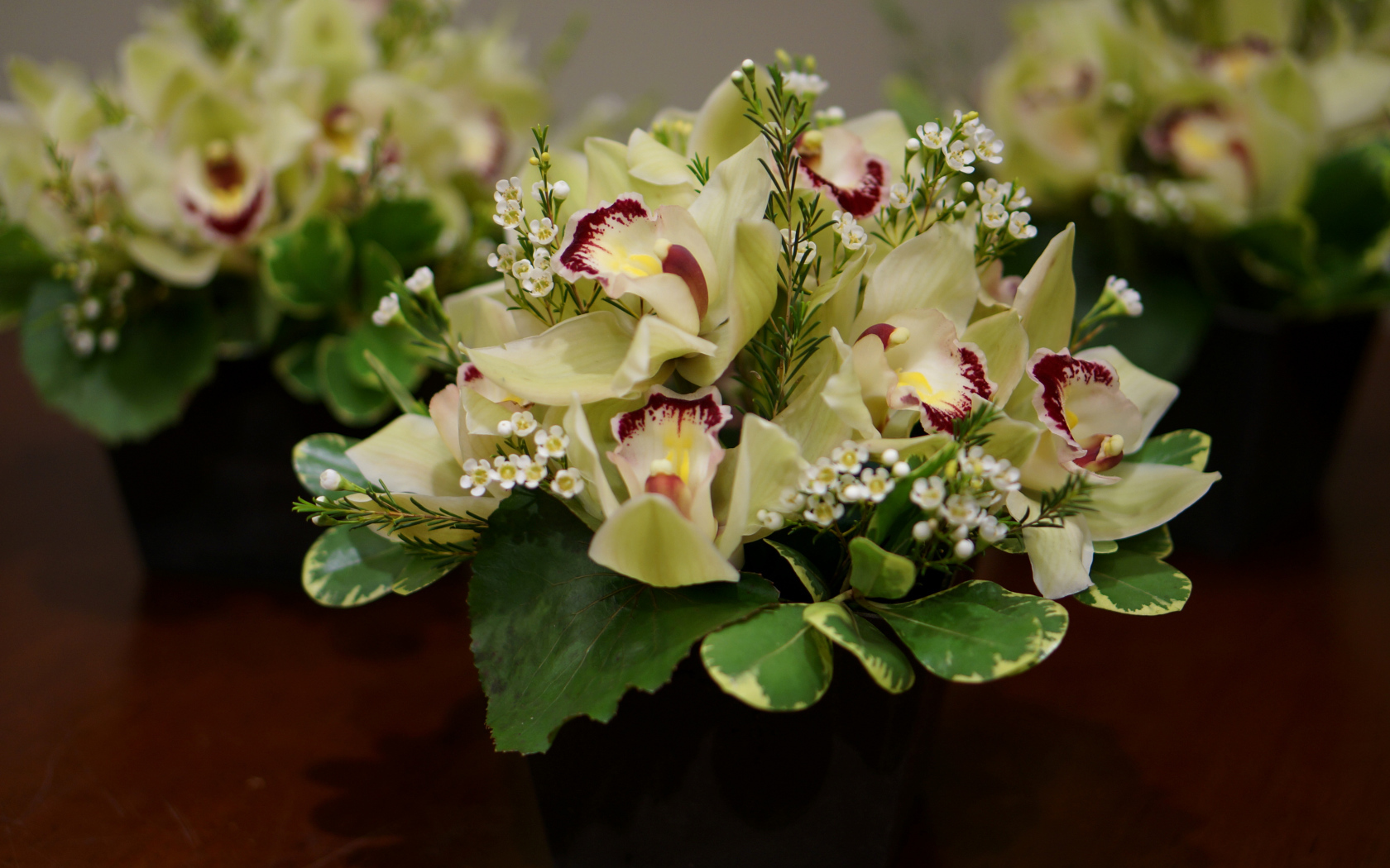 Букет нежной орхидеи и морозника