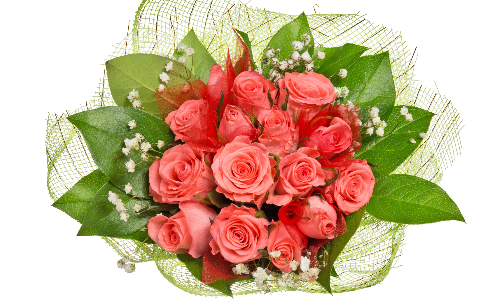 Букет розовых роз с большими зелеными листьями на белом фоне