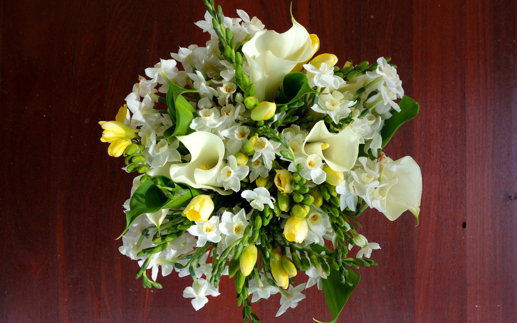 Нежные белые нарциссы и каллы в красивом букете