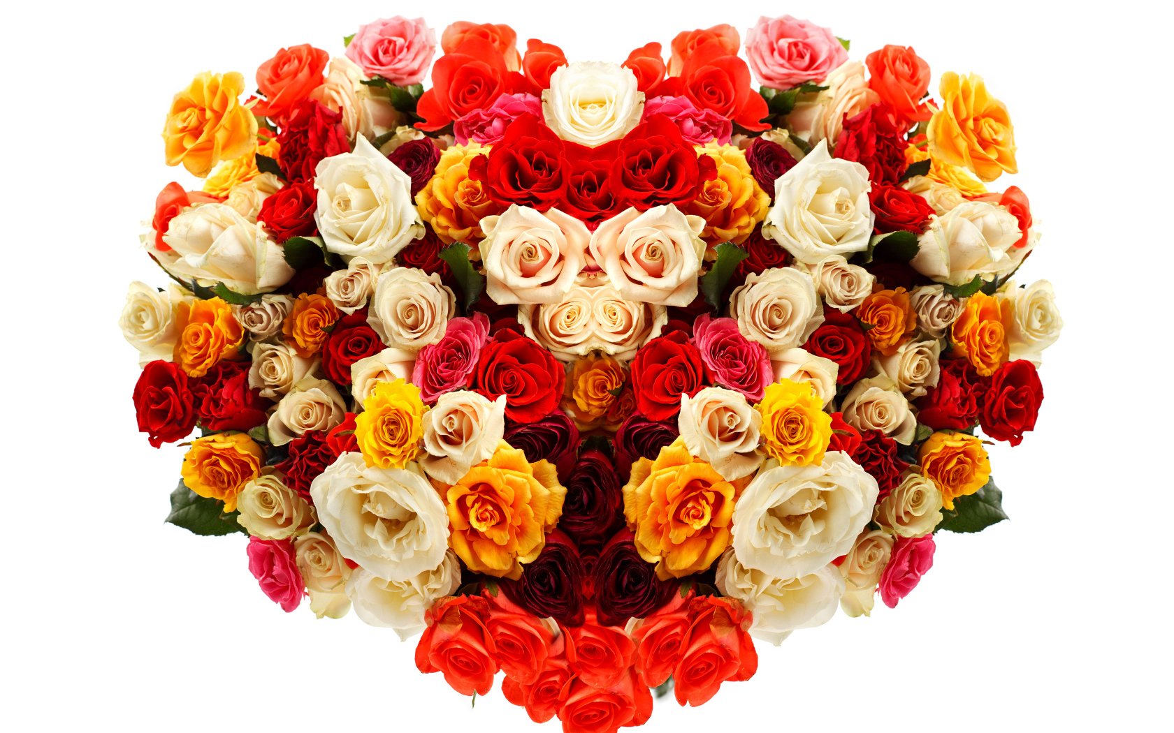 Сердце из разноцветных роз на белом фоне