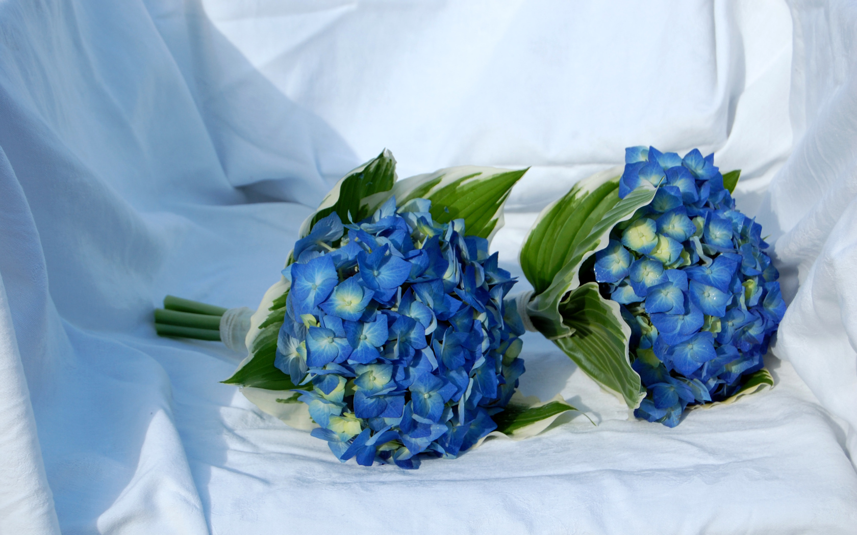 Два букета цветов гортензии