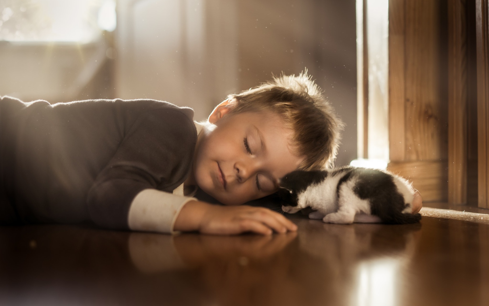 Спящий маленький мальчик и маленький котенок