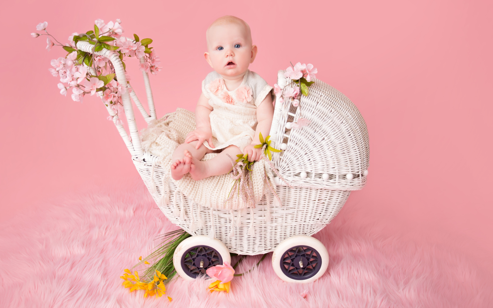 Младенец девочка сидит в коляске на розовом фоне